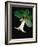 White bud with green leaves-Angela Drury-Framed Photographic Print