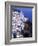 White Buildings in Oia Santorini, Athens, Greece-Bill Bachmann-Framed Photographic Print