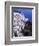 White Buildings in Oia Santorini, Athens, Greece-Bill Bachmann-Framed Photographic Print