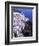 White Buildings in Oia Santorini, Athens, Greece-Bill Bachmann-Framed Photographic Print