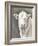 White Bull-Gwendolyn Babbitt-Framed Art Print