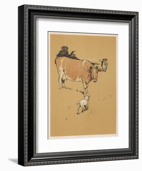 White Bulldog Approaches a Docile-Looking Cow in a Field-Cecil Aldin-Framed Art Print