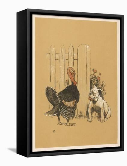 White Bulldog Looks up Enquiringly at a Rather Stern- Looking Turkey Cock-Cecil Aldin-Framed Stretched Canvas
