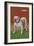 White Bulldog-null-Framed Art Print