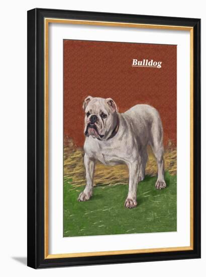 White Bulldog-null-Framed Art Print