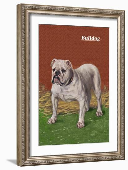 White Bulldog-null-Framed Art Print