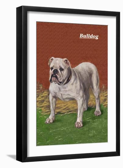 White Bulldog-null-Framed Art Print