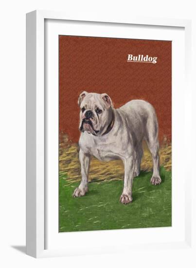 White Bulldog-null-Framed Art Print