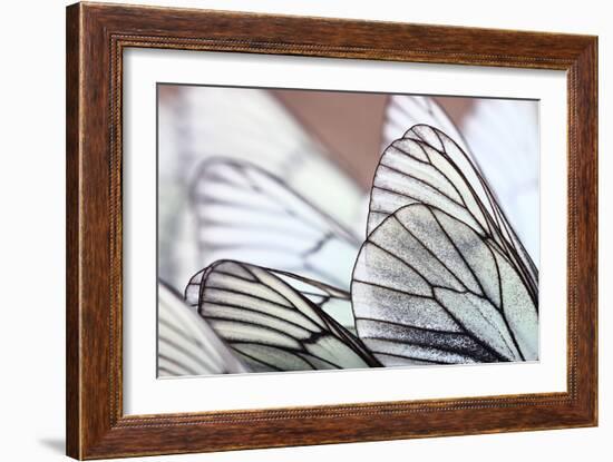 White Butterflies on Sand-Kichigin-Framed Photographic Print