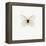 White Butterfly-PhotoINC-Framed Premier Image Canvas