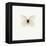 White Butterfly-PhotoINC-Framed Premier Image Canvas