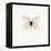 White Butterfly-PhotoINC-Framed Premier Image Canvas