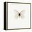 White Butterfly-PhotoINC-Framed Premier Image Canvas