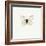 White Butterfly-PhotoINC-Framed Photographic Print