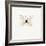 White Butterfly-PhotoINC-Framed Photographic Print