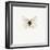 White Butterfly-PhotoINC-Framed Photographic Print