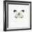 White Butterfly-PhotoINC-Framed Photographic Print