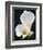 White Calla Lilies-Jamie & Judy Wild-Framed Photographic Print