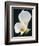 White Calla Lilies-Jamie & Judy Wild-Framed Photographic Print