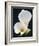 White Calla Lilies-Jamie & Judy Wild-Framed Photographic Print