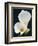 White Calla Lilies-Jamie & Judy Wild-Framed Photographic Print