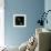 White Calla Lily 2-Magda Indigo-Framed Premium Photographic Print displayed on a wall