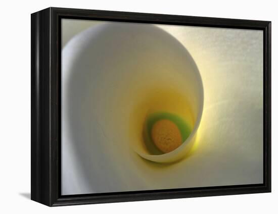 White Calla Lily Abstract-Anna Miller-Framed Premier Image Canvas