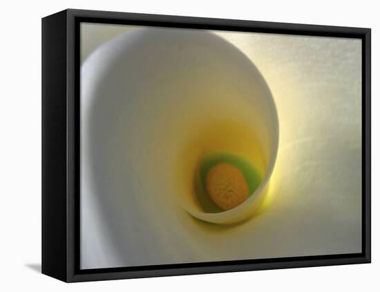 White Calla Lily Abstract-Anna Miller-Framed Premier Image Canvas