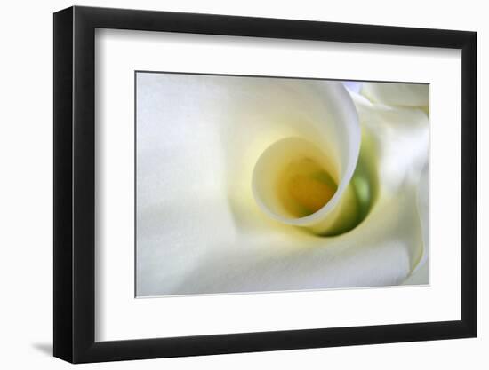 White Calla Lily Abstract-Anna Miller-Framed Photographic Print