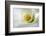 White Calla Lily Abstract-Anna Miller-Framed Photographic Print