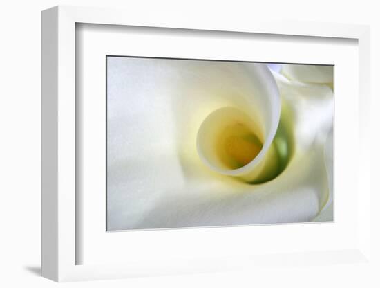 White Calla Lily Abstract-Anna Miller-Framed Photographic Print