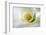 White Calla Lily Abstract-Anna Miller-Framed Photographic Print