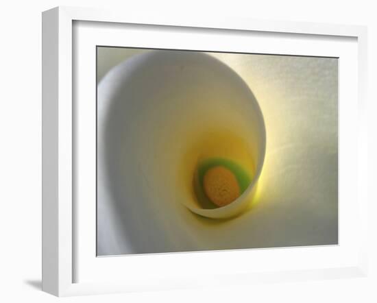 White Calla Lily Abstract-Anna Miller-Framed Photographic Print