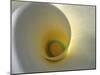 White Calla Lily Abstract-Anna Miller-Mounted Photographic Print