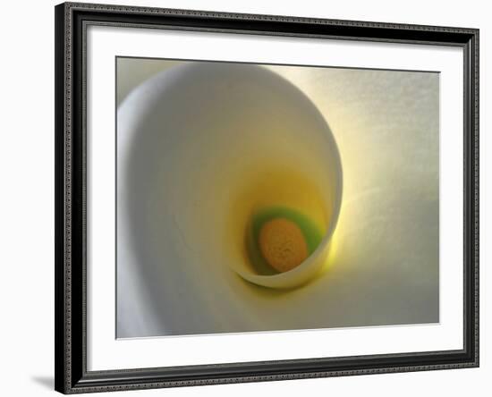 White Calla Lily Abstract-Anna Miller-Framed Photographic Print