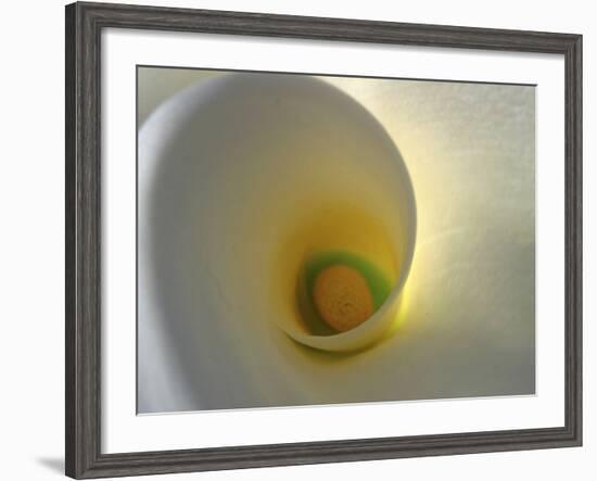 White Calla Lily Abstract-Anna Miller-Framed Photographic Print