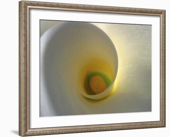 White Calla Lily Abstract-Anna Miller-Framed Photographic Print