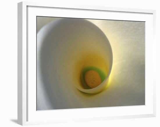 White Calla Lily Abstract-Anna Miller-Framed Photographic Print