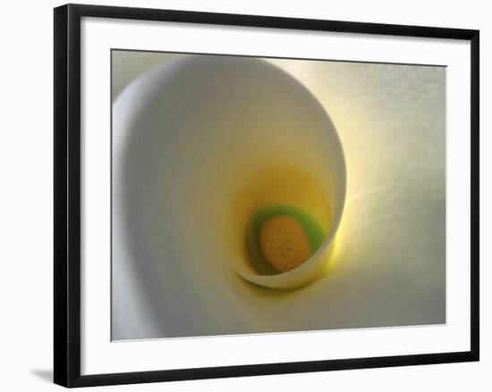 White Calla Lily Abstract-Anna Miller-Framed Photographic Print