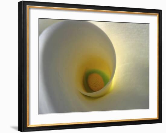 White Calla Lily Abstract-Anna Miller-Framed Photographic Print