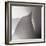 White Callas IV-Monika Burkhart-Framed Photographic Print