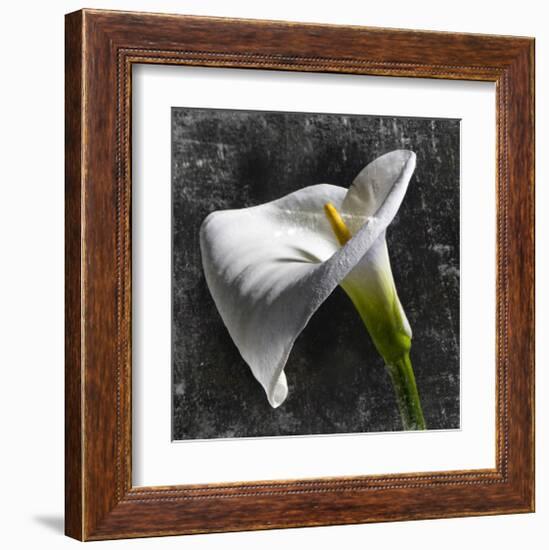 White Callas-null-Framed Art Print