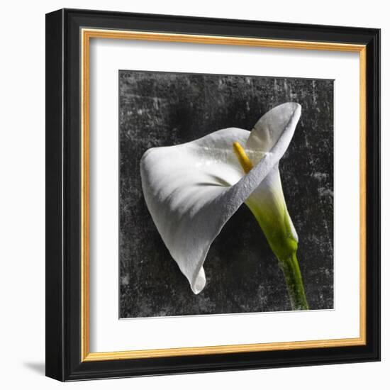 White Callas-null-Framed Art Print