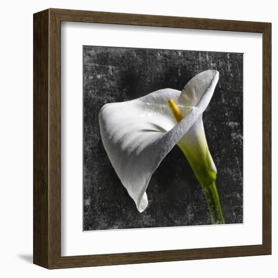 White Callas-null-Framed Art Print