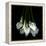 White Callas-Magda Indigo-Framed Premier Image Canvas