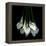 White Callas-Magda Indigo-Framed Premier Image Canvas