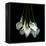 White Callas-Magda Indigo-Framed Premier Image Canvas