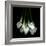 White Callas-Magda Indigo-Framed Photographic Print