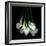 White Callas-Magda Indigo-Framed Photographic Print