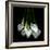 White Callas-Magda Indigo-Framed Photographic Print